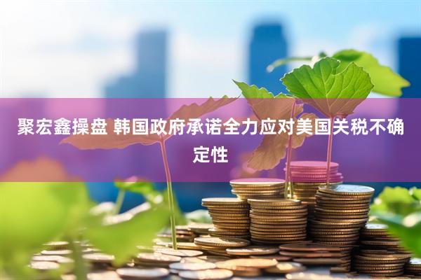 聚宏鑫操盘 韩国政府承诺全力应对美国关税不确定性