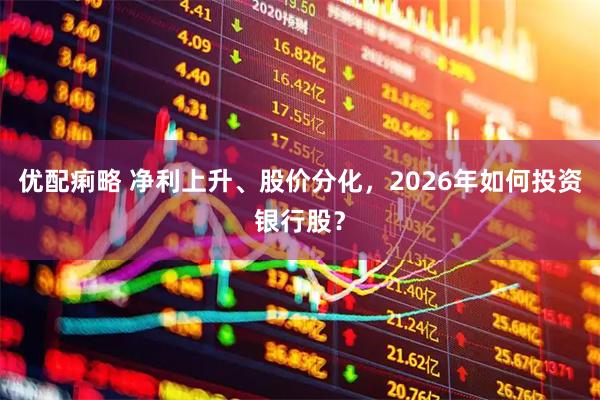 优配痢略 净利上升、股价分化，2026年如何投资银行股？