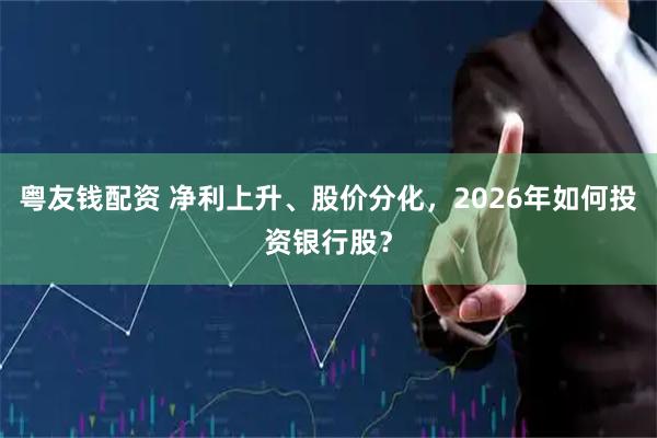 粤友钱配资 净利上升、股价分化，2026年如何投资银行股？