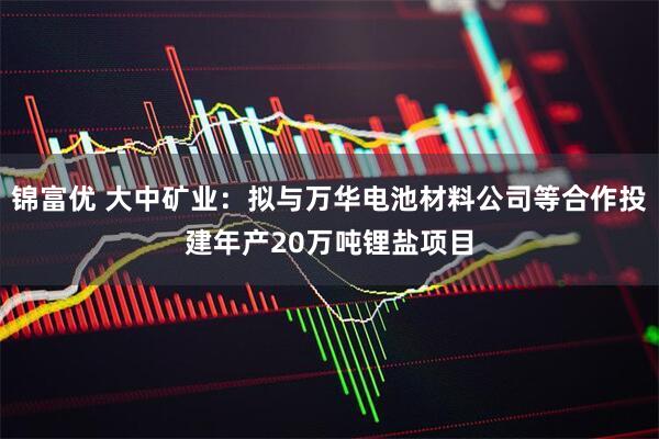 锦富优 大中矿业：拟与万华电池材料公司等合作投建年产20万吨锂盐项目