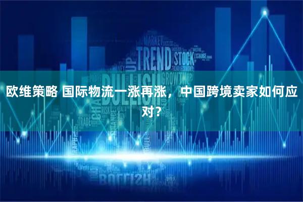 欧维策略 国际物流一涨再涨，中国跨境卖家如何应对？