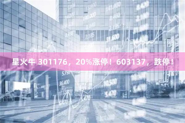 星火牛 301176,20%涨停!603137,跌停!