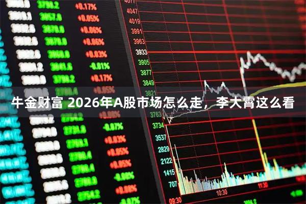 牛金财富 2026年A股市场怎么走，李大霄这么看