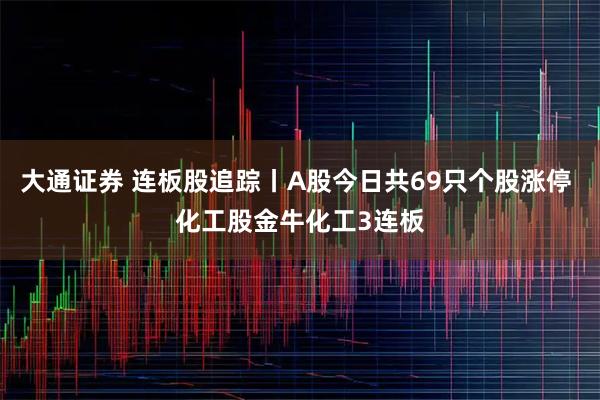 大通证券 连板股追踪丨A股今日共69只个股涨停 化工股金牛化工3连板