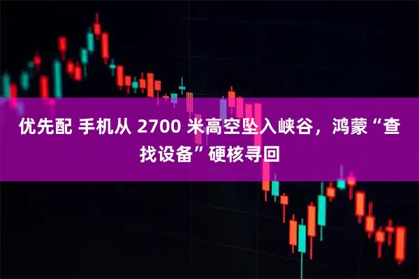 优先配 手机从 2700 米高空坠入峡谷，鸿蒙“查找设备”硬核寻回