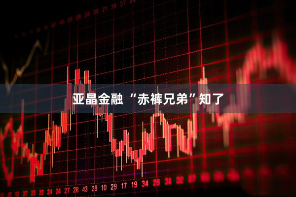 亚晶金融 “赤裤兄弟”知了