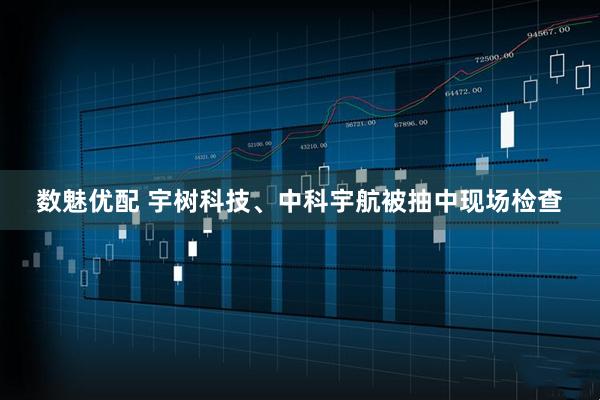 数魅优配 宇树科技、中科宇航被抽中现场检查