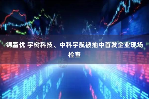 锦富优 宇树科技、中科宇航被抽中首发企业现场检查