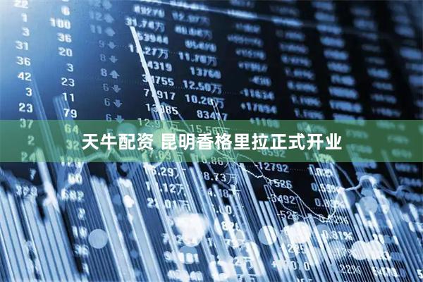 天牛配资 昆明香格里拉正式开业