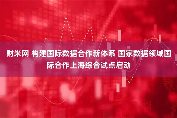 财米网 构建国际数据合作新体系 国家数据领域国际合作上海综合试点启动