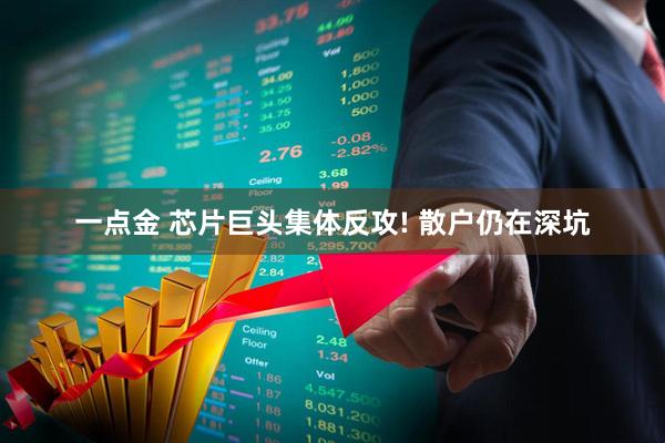 一点金 芯片巨头集体反攻! 散户仍在深坑